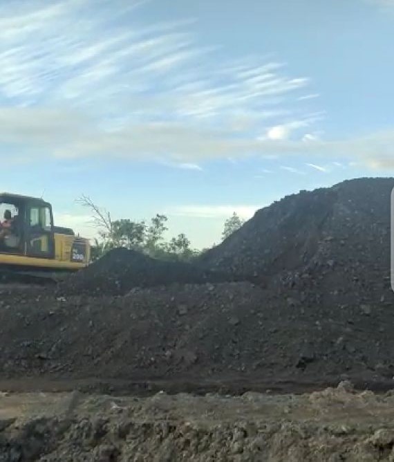 Coal